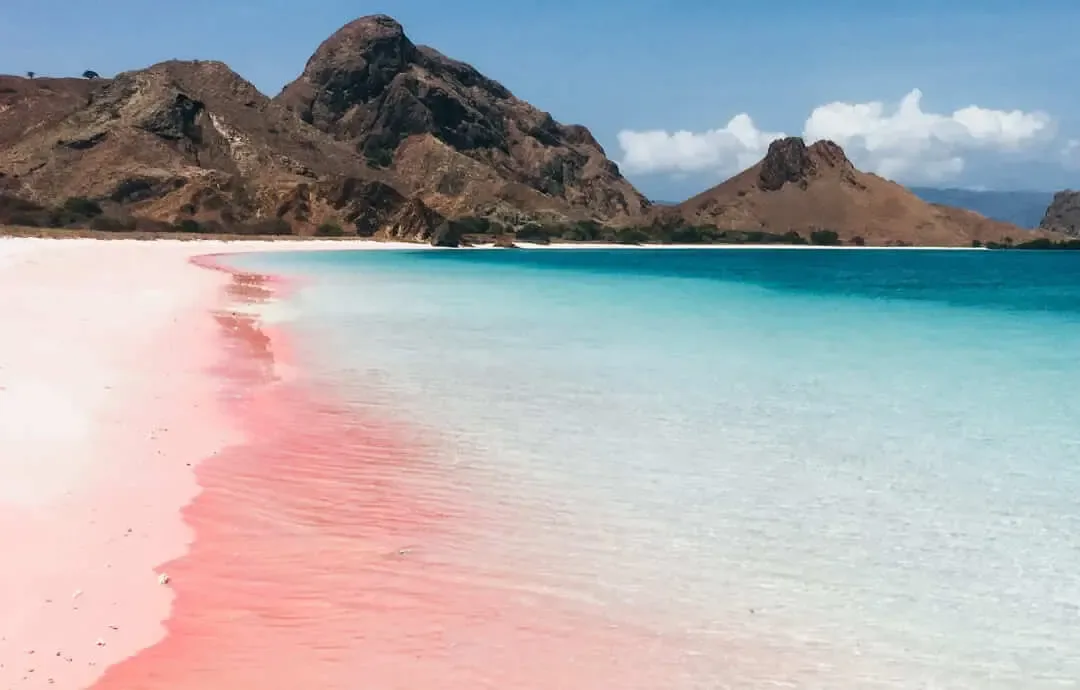 The blush-pink shoreline of Pink Beach in Komodo National Park