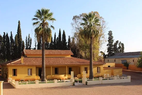 The winery building of Domaine de la Zouina among palm and cypress trees