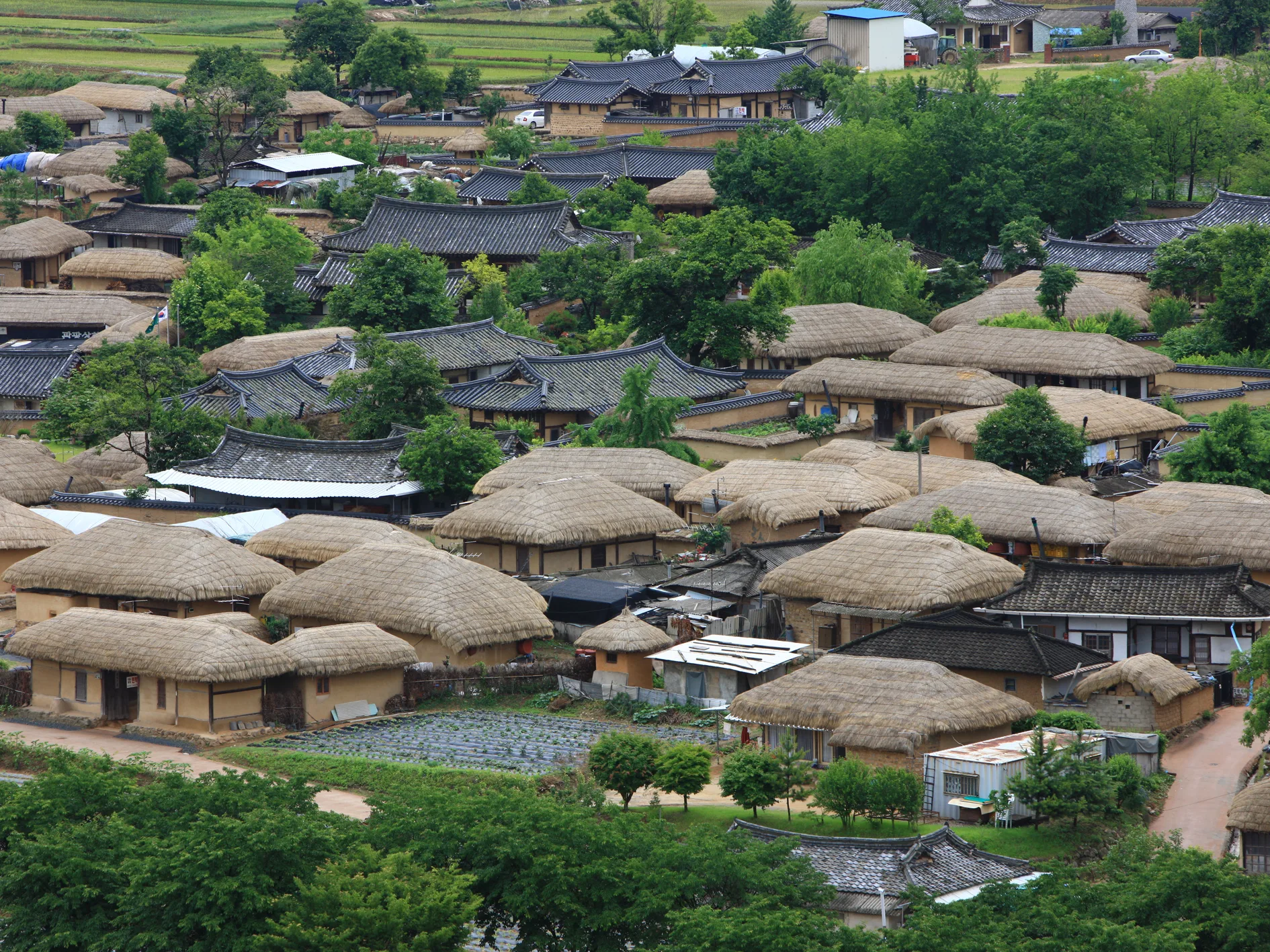 Aerial view of thatched-roof homes at Andong Hahoe Folk Village